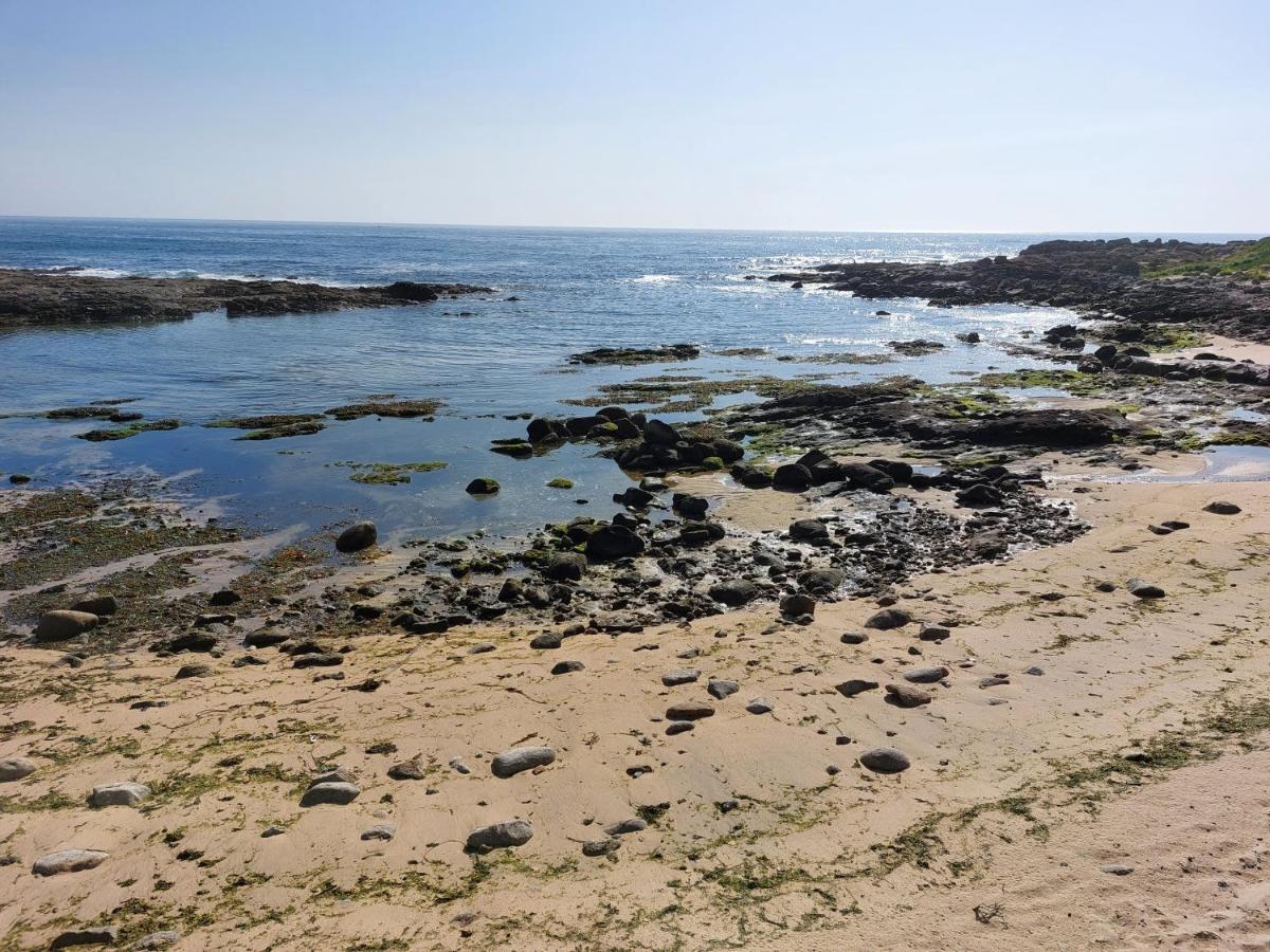 Leça da Palmeira Sea & City מראה חיצוני תמונה